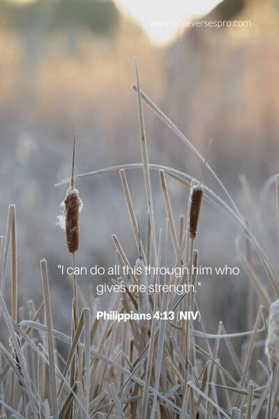 Philippians 4_13 (Niv)