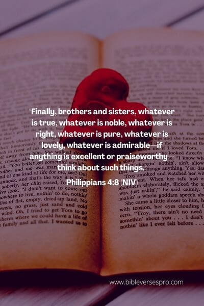 Philippians 4_8 (Niv)