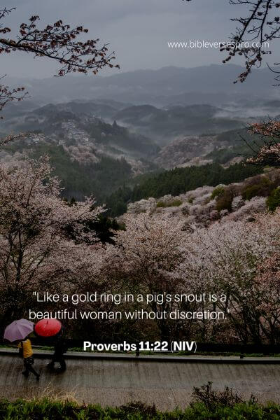 Proverbs 11_22 (Niv)