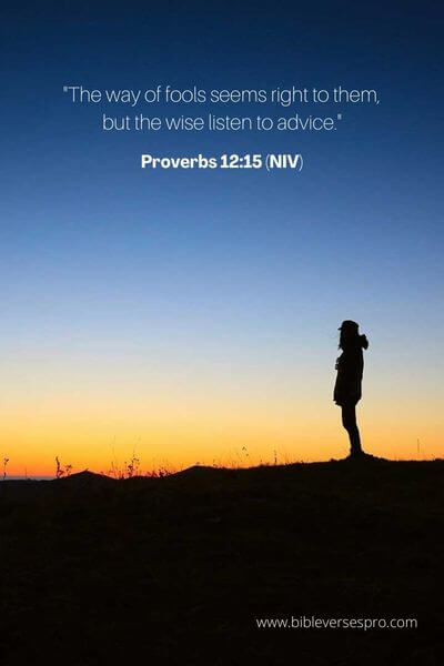 Proverbs 12_15 (Niv)