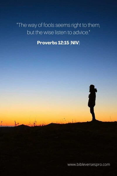 Proverbs 12_15 (NIV)