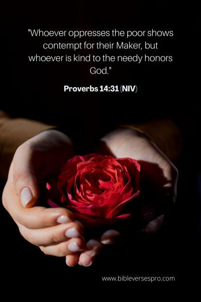 Proverbs 14_31 (Niv)
