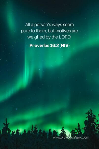 Proverbs 16_2 (Niv)