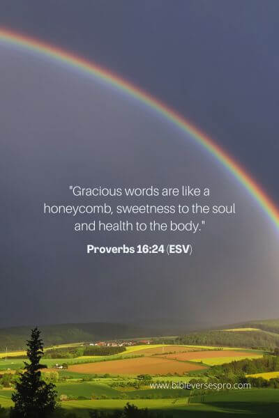 Proverbs 16_24 (ESV)