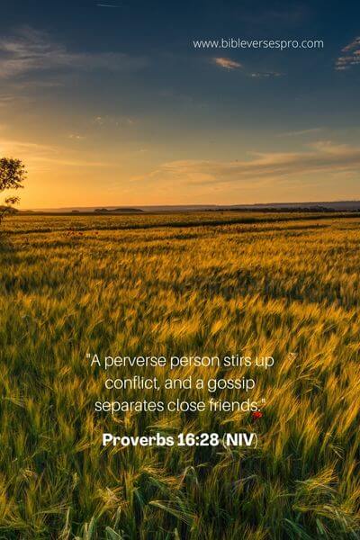 Proverbs 16_28 (NIV)