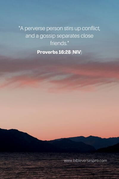 Proverbs 16_28 (Niv)