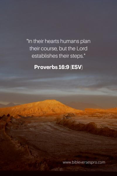 Proverbs 16_9 (Esv)