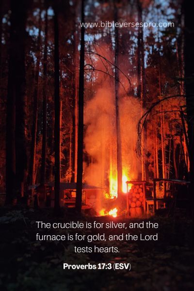 Proverbs 17_3 (Esv)