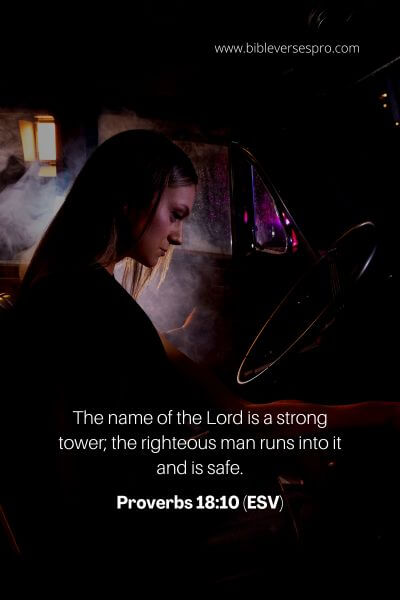 Proverbs 18_10 (ESV)