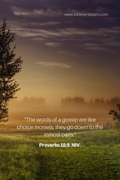 Proverbs 18_8 (Niv)