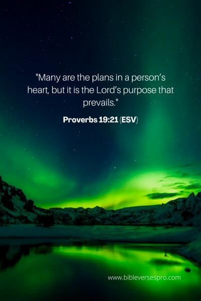 Proverbs 19_21 (Esv)