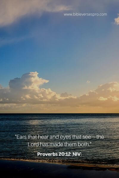 Proverbs 20_12 (NIV)