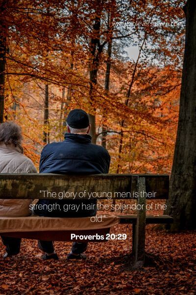 Proverbs 20_29
