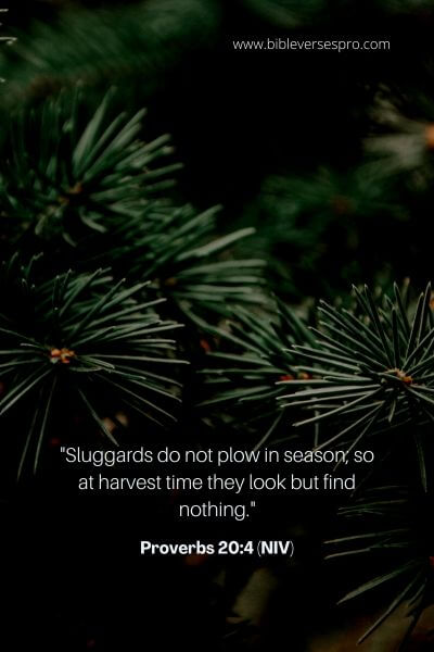 Proverbs 20_4 (Niv)