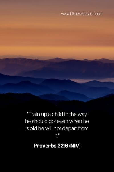 Proverbs 22_6 (Niv)