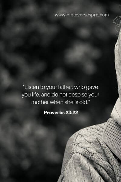 Proverbs 23_22