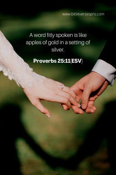 Proverbs 25_11(Esv)