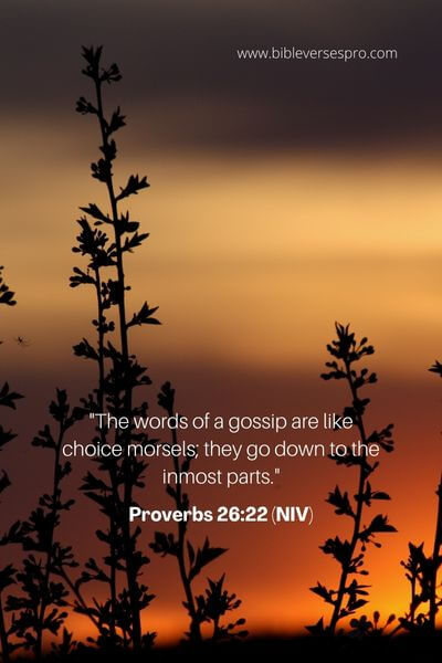 Proverbs 26_22 (Niv)