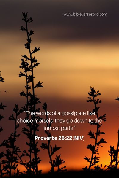 Proverbs 26_22 (NIV)