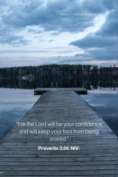 Proverbs 3_26 (Niv)