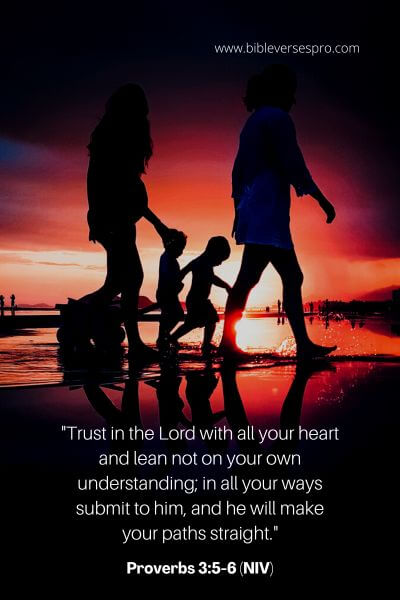 Proverbs 3_5-6 (NIV)