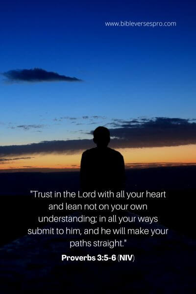 Proverbs 3_5-6 (Niv)