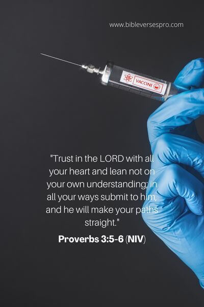 Proverbs 3_5-6 (Niv)