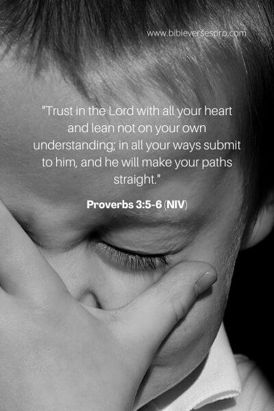 Proverbs 3_5-6 (NIV)