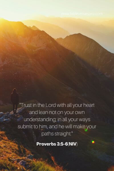 Proverbs 3_5-6(Niv)