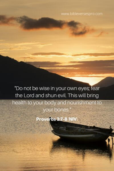 Proverbs 3_7-8 (Niv)