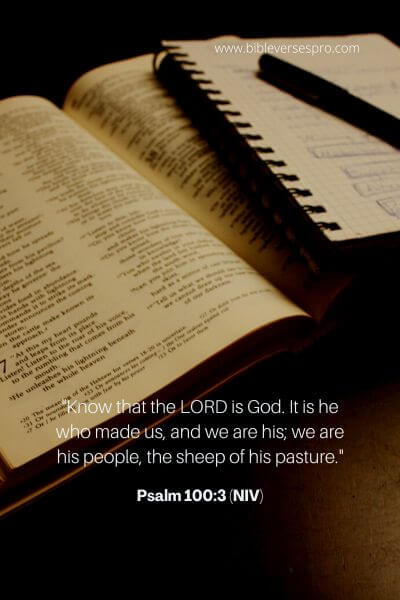 Psalm 100_3 (Niv)