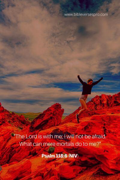 Psalm 118_6  (Niv)