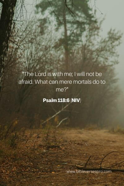 Psalm 118_6 (Niv)