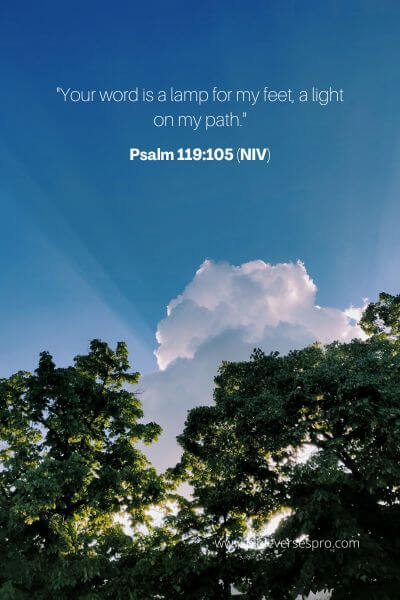Psalm 119_105 (Niv)