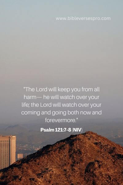 Psalm 121_7-8 (NIV)