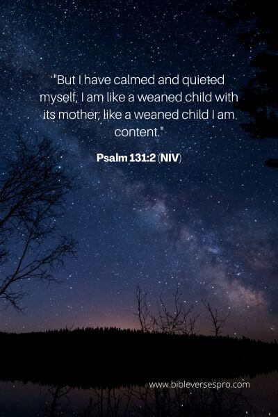 Psalm 131_2 (Niv)