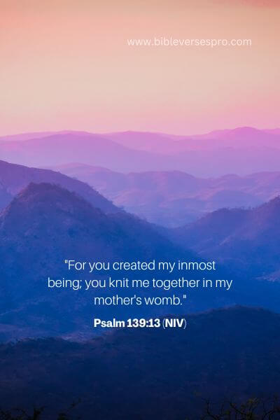 Psalm 139_13 (Niv)