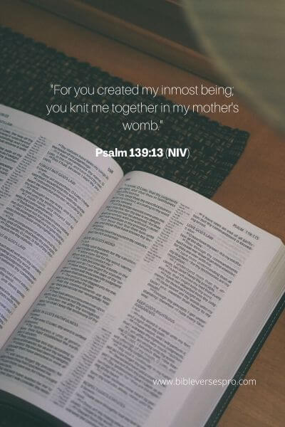 Psalm 139_13 (Niv)