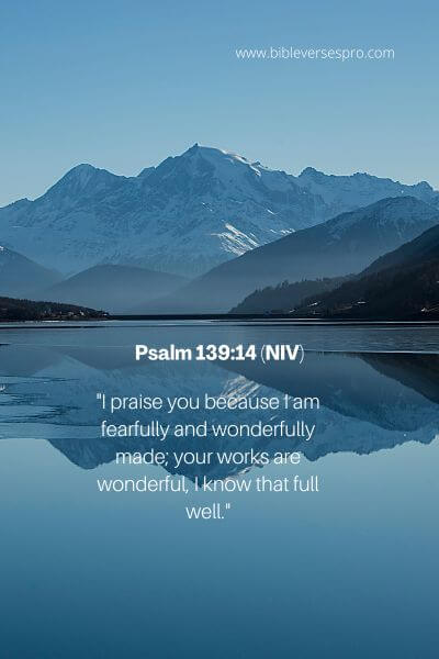 Psalm 139_14 (NIV)
