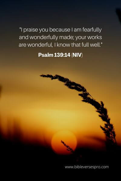 Psalm 139_14 (NIV)