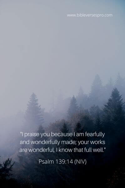 Psalm 139_14 (Niv)