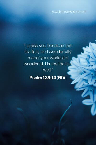 Psalm 139_14 (Niv)