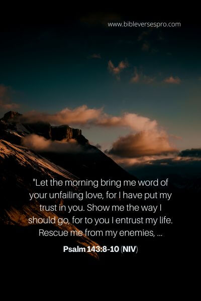Psalm 143_8-10 (NIV)