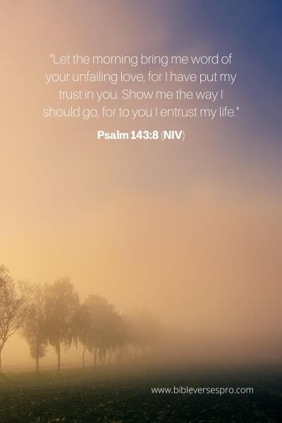 Psalm 143_8 (NIV)