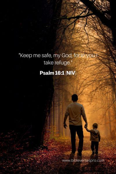 Psalm 16_1 (NIV)