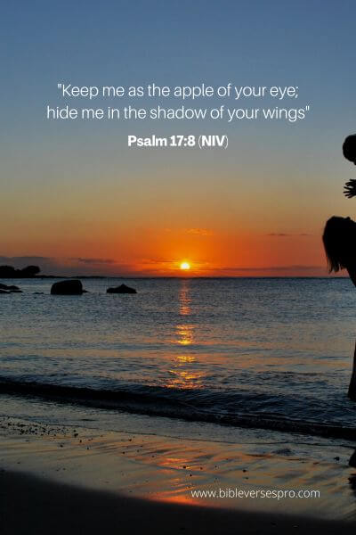Psalm 17_8 (NIV)