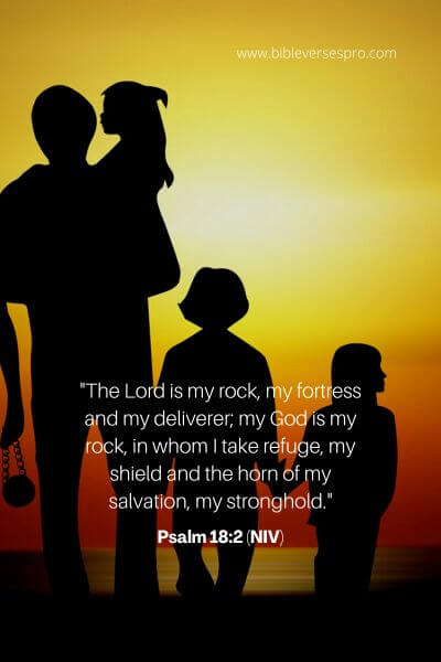 Psalm 18_2 (NIV)