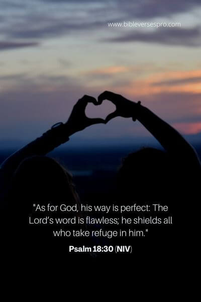 Psalm 18_30 (NIV)