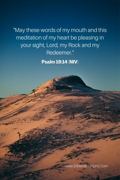 Psalm 19_14 (Niv)
