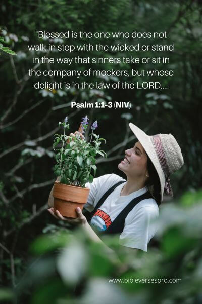 Psalm 1_1-3 (NIV)